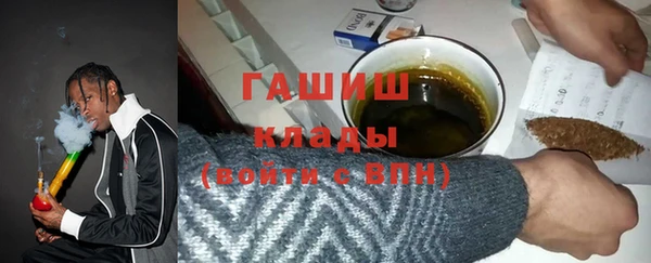 индика Богородицк