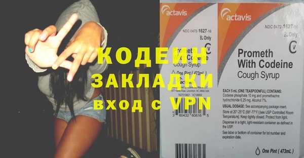 метадон Богданович