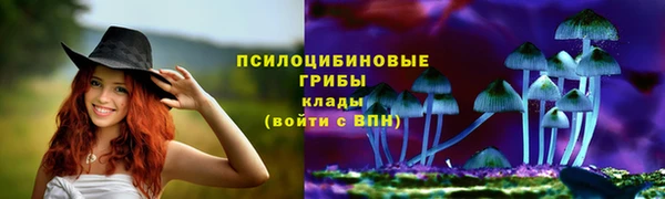 индика Богородицк