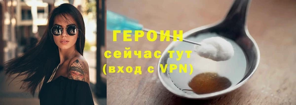 индика Богородицк