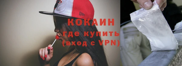индика Богородицк
