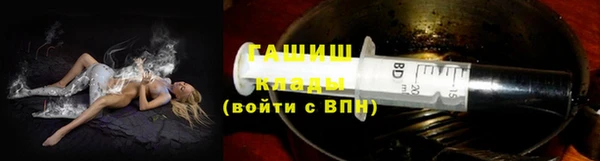 индика Богородицк