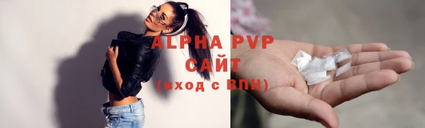 индика Богородицк