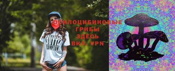стафф Богородск