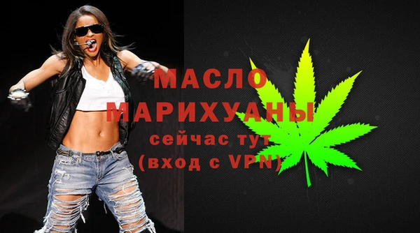 индика Богородицк