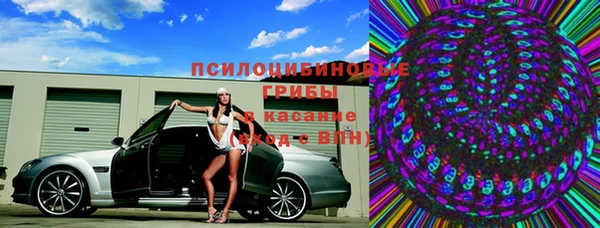 метадон Богданович