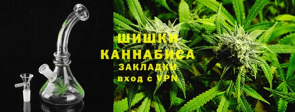 индика Богородицк