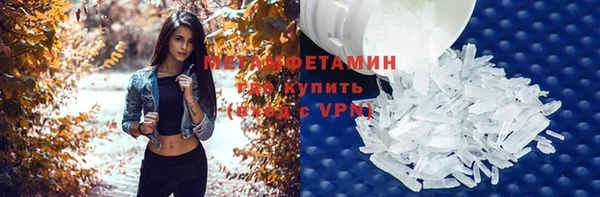 индика Богородицк