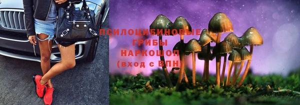стафф Богородск