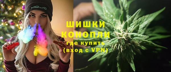 стафф Богородск