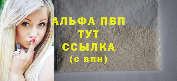 индика Богородицк