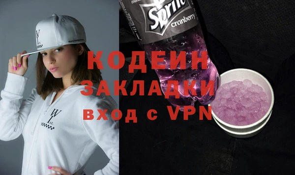 индика Богородицк